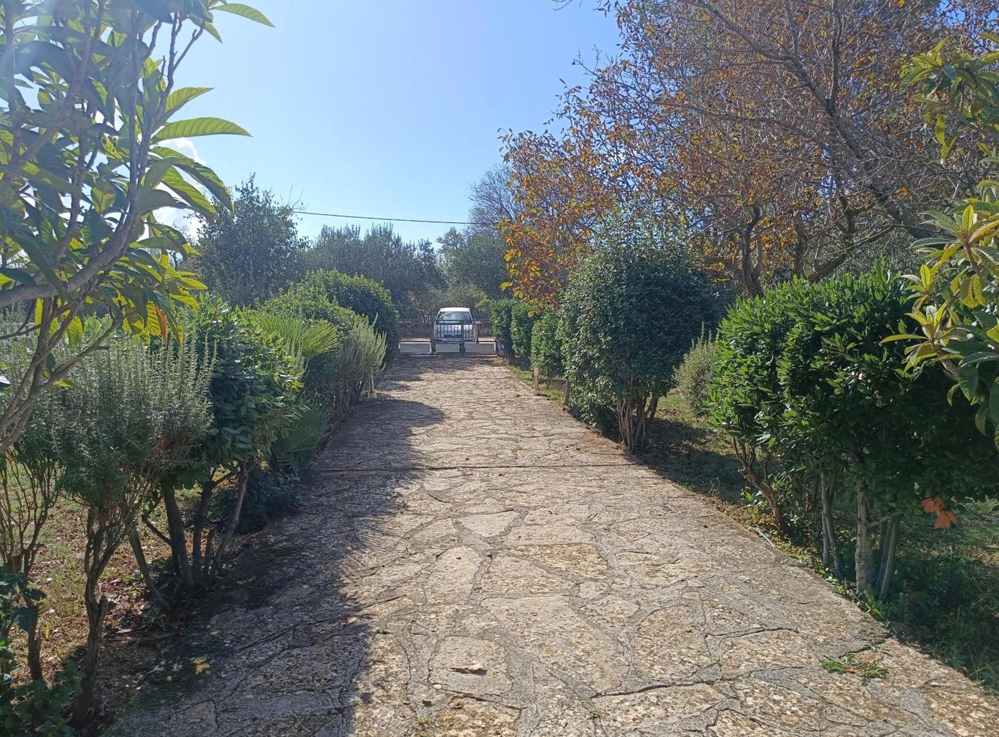 Holiday Home Visnja Benkovac Exterior photo